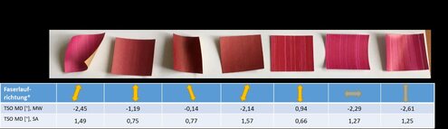 Zusammenhang der Faserlauf- und Wölbungsrichtung 