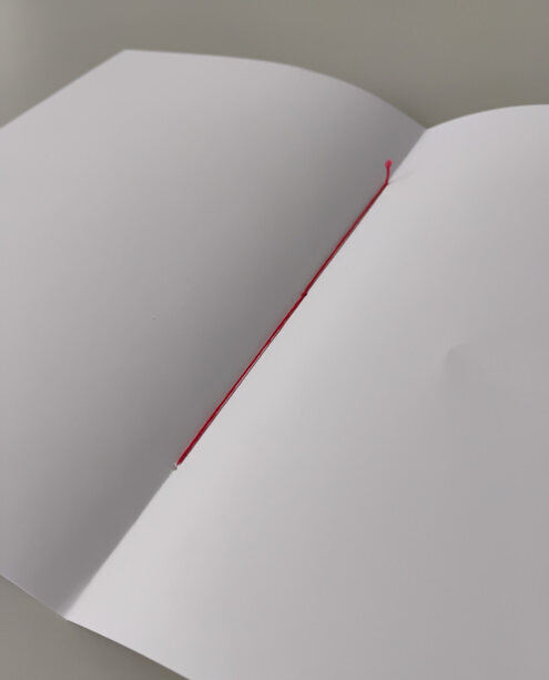 Ausführungsbeispiel