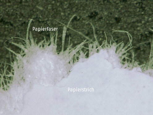 Mikroskopaufnahme eines Papierrisses