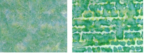 Mikroskopische Aufnahme eines Druckbildes auf zwei verschiedenen Liner-Oberflächen erzeugt mit derselben wasserbasierten Tinte Mikroskopische Aufnahme eines Druckbildes auf zwei verschiedenen Liner-Oberflächen erzeugt mit derselben wasserbasierten Tinte
